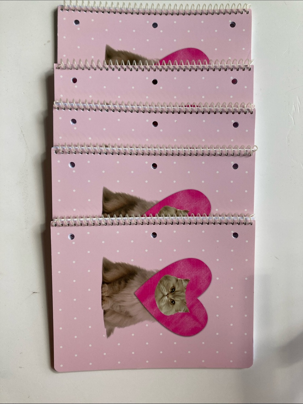 5 Pink 1 Subject Notebook 70 Wide Ruled Sheet Lot 10.5” x 8”
Cat in heart